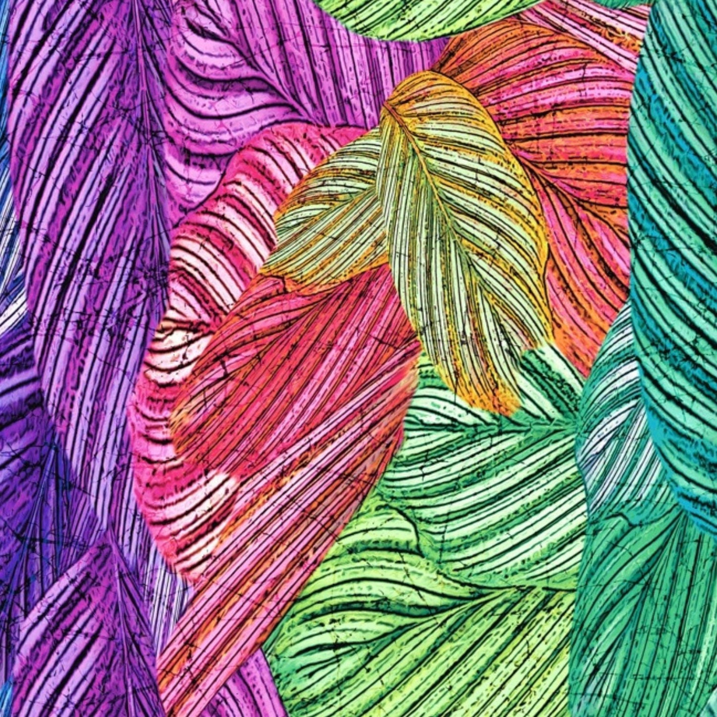 Headwrap - Samba